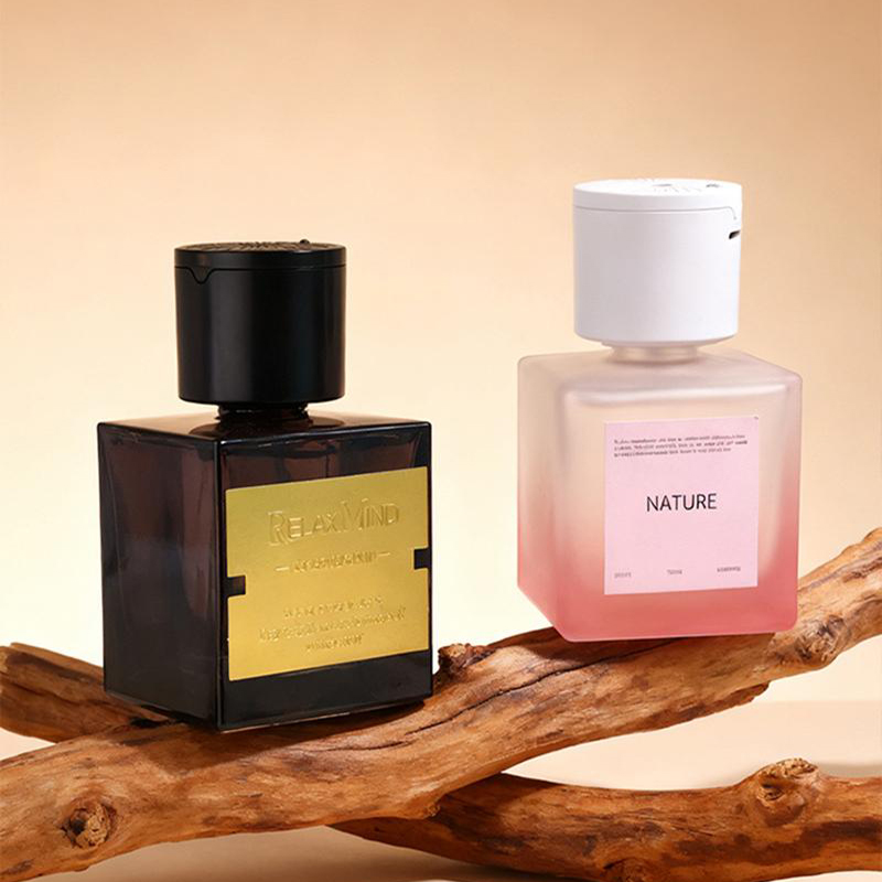 ناشر عطر رذاذ تلقائي، موزع عطر - مراجعة Home Fragrance Aesop وسعره